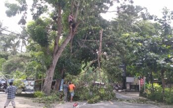 Antisipasi Bahaya, Polsek Batulayar Pangkas Pohon Rawan Tumbang