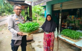 Bibit Cabai dari Polisi, Asa Baru untuk Ketahanan Pangan