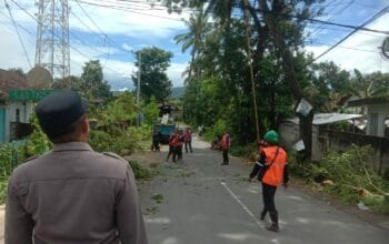 Demi Keamanan Warga, Polisi dan Instansi Terkait Rampingkan Pohon di Gerung