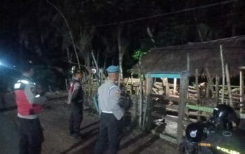 Kandang Ternak Jadi Sasaran Polisi Bertindak Cepat!