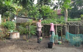 Bhabinkamtibmas Kuranji Dalang Aktif Dukung Ketahanan Pangan
