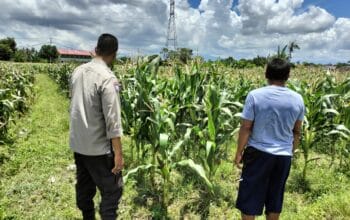 Bhabinkamtibmas Labuapi Dampingi Petani, Optimalkan Lahan Kosong untuk Ketahanan Pangan Nasional