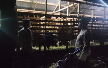 Cegah 3C dan Curnak, Polsek Lembar Gencarkan Patroli Malam di Kandang Kumpul
