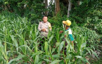 Inspiratif! Bhabinkamtibmas Lombok Barat Ajak Petani Maksimalkan Lahan untuk Ketahanan Pangan