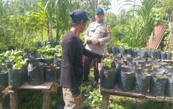 Inspiratif! Kapolsek Batulayar Apresiasi Warga Rawat Lahan Bergizi