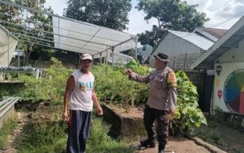 Ketahanan Pangan Desa, Warga Batulayar Manfaatkan Ekobrik