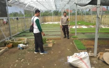 Ketahanan Pangan di Lombok Barat, Polisi Gandeng Petani Sukses Manfaatkan Pekarangan