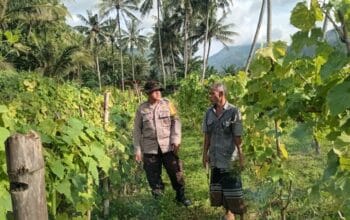 Monitoring Pekarangan Bergizi, Bhabinkamtibmas Sapa Warga Lembahsari