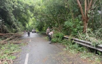 Patroli KRYD Polsek Lembar, Respons Cepat Pohon Tumbang di Tanjakan Grepek