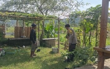 Polsek Batulayar Kawal Lahan Bergizi, Dukung Ketahanan Pangan Lombok Barat