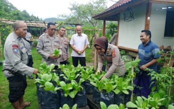 Polsek Batulayar Kawal Ketahanan Pangan Lombok Barat