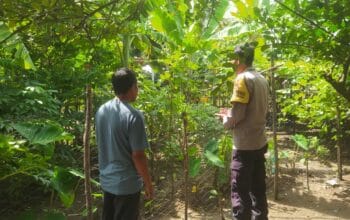 Kapolsek Sekotong Ajak Warga Manfaatkan Pekarangan Rumah untuk Program Makan Bergizi