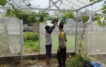 Bengkel Selatan Berbuah, Kisah Inspiratif Ketahanan Pangan