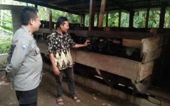 Bhabinkamtibmas Batulayar Ajak Warga Maksimalkan Lahan