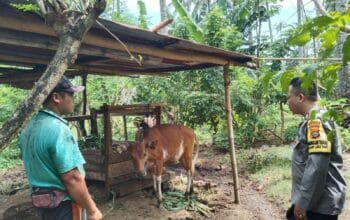 Bhabinkamtibmas Batulayar Barat Jalin Silaturahmi, Sosialisasi Program Ketahanan Pangan P2B