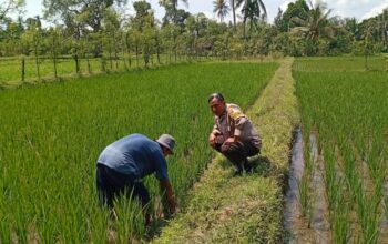 Dukung Program Pemerintah, Polri Gelar Pendampingan Ketahanan Pangan di Desa Merembu