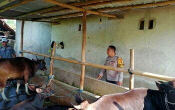 Ketahanan Pangan Dimulai dari Pekarangan, Polsek Labuapi Beri Motivasi