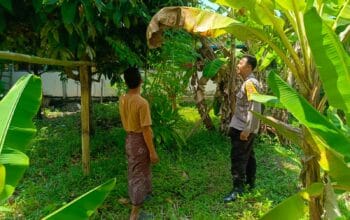 Ketahanan Pangan, Polisi Motivasi Warga Manfaatkan Pekarangan Rumah di Desa Perampuan