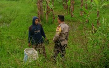 Ketahanan Pangan di Labuapi, Peran Aktif Polisi Jaga Stabilitas Harga