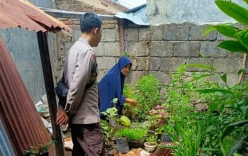 Pekarangan Bergizi, Inisiatif Polisi untuk Ketahanan Pangan di Desa Perampuan