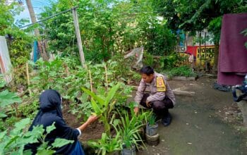 Perkuat Ketahanan Pangan, Bhabinkamtibmas Desa Perampuan Ajak Warga Tanam Sayur di Pekarangan