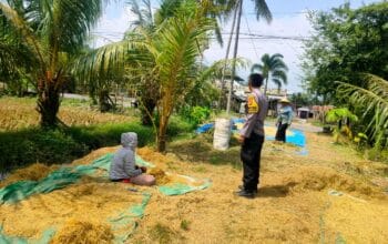 Polisi Motivasi Petani Eyat Mayang, Panen Maksimal di Depan Mata