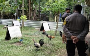 Polisi dan Warga Bersatu, Optimalkan Lahan Kosong untuk Pangan