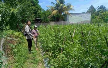 Polri Hadir! Pekarangan Bergizi untuk Ketahanan Pangan Warga
