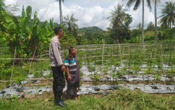 Polri dan Petani Bersinergi, Ketahanan Pangan di Sekotong Semakin Kuat