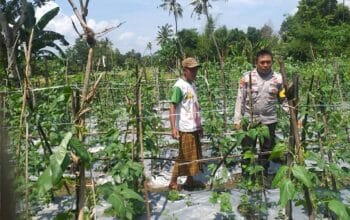Polsek Kuripan Dorong Pemanfaatan Lahan Kosong Demi Ketahanan Pangan