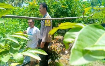 Polsek Labuapi Dukung Warga Manfaatkan Pekarangan Jadi Sumber Pangan
