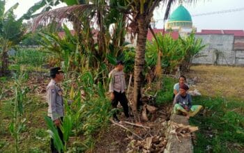 Sinergi Polri dan Petani, Polsek Labuapi Ajak Petani Majukan Pertanian
