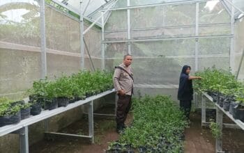 Bhabinkamtibmas Desa Sandik Dukung Ketahanan Pangan dengan Ajak Warga Tanam Cabai