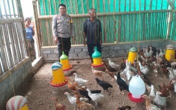 Bhabinkamtibmas Dukung Peternak Ayam, Jaga Ketahanan Pangan!