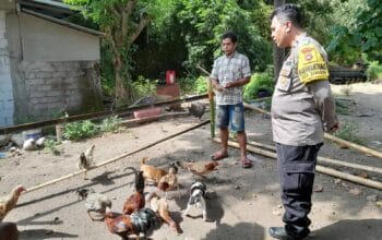 Polsek Batulayar Dukung Ketahanan Pangan, Bhabinkamtibmas Terjun ke Lapangan