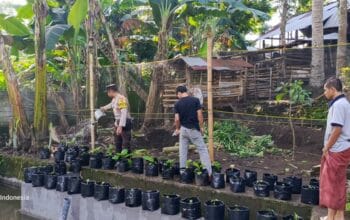 Sambang Warga Bhabinkamtibmas, Warga Kuripan Kian Mandiri Pangan