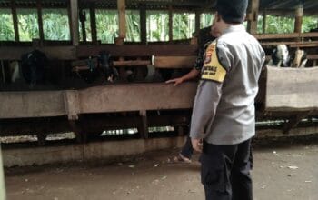 Dukung Ketahanan Pangan, Polsek Batulayar Dorong Warga Menanam Sayur