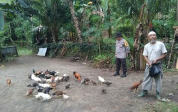 Polisi Bantu Warga Manfaatkan Pekarangan di Batulayar, Ketahanan Pangan Kian Kuat