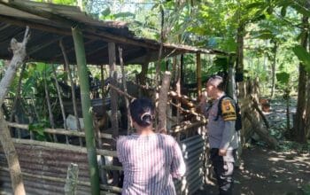 Optimalisasi Pekarangan untuk Ketahanan Pangan: Inisiatif Polri di Lombok Barat