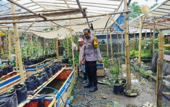 Polri Terlibat Aktif dalam Ketahanan Pangan Nasional melalui Kegiatan Sambang di Lombok Barat