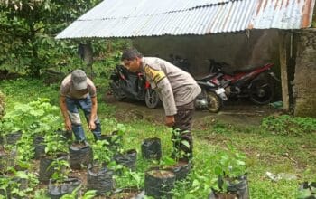 Bhabinkamtibmas Desa Batulayar Dukung Ketahanan Pangan Warga