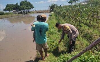 Bhabinkamtibmas Kuranji Dalang Gelar Sambang untuk Edukasi Ketahanan Pangan di Dusun Mapak Barat