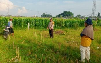 Bhabinkamtibmas Labuapi Aktif Dorong Ketahanan Pangan di Desa Karang Bongkot