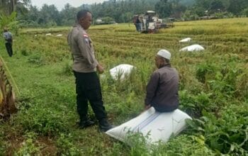 Kedekatan Polisi dan Petani, Panen Jadi Nyaman