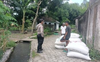 Kemitraan Polri-Warga NTB Perkuat Pangan Lokal Ini Buktinya di Lombok Barat