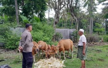 Polsek Batulayar Aktif Dukung Ketahanan Pangan di Lombok Barat