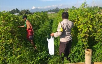 Polsek Kuripan Dukung Ketahanan Pangan Nasional, Bhabinkamtibmas Jalin Sinergi dengan Warga
