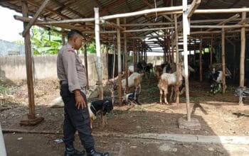Sinergi Polri dan Warga Wujudkan Ketahanan Pangan Berkelanjutan