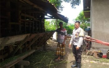 Bhabinkamtibmas di Kuripan Gerak Cepat, Ketahanan Pangan Warga Jadi Prioritas!