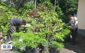 Bhabinkamtibmas Kuripan Aktif Sosialisasikan Program Pangan